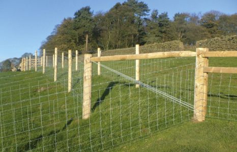 Livestock Fencing